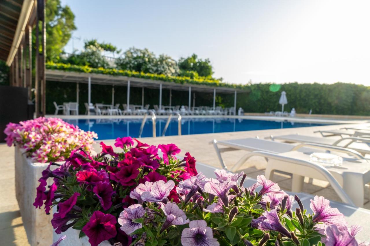 Abella Hotel Agia Marina Zewnętrze zdjęcie